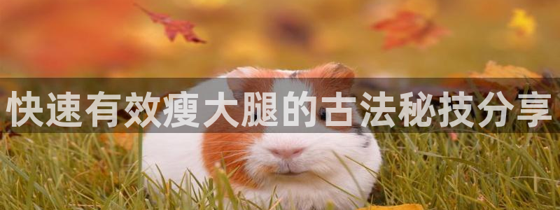龙8国际官方手机版登录