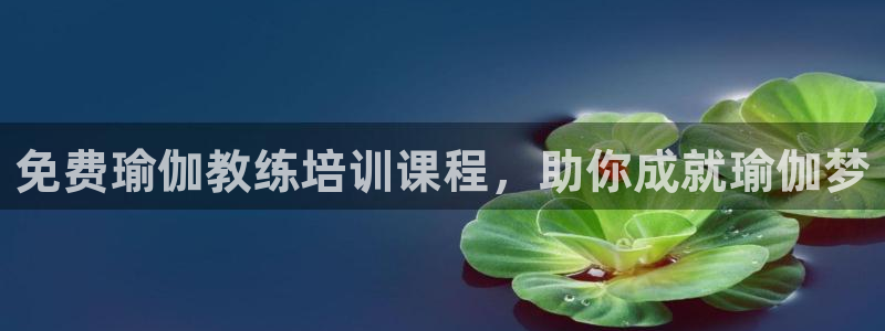 国际龙8官网pt客户端