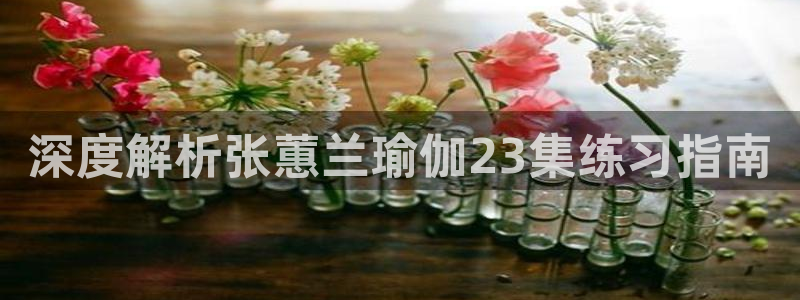 国际龙8官网pt客户端