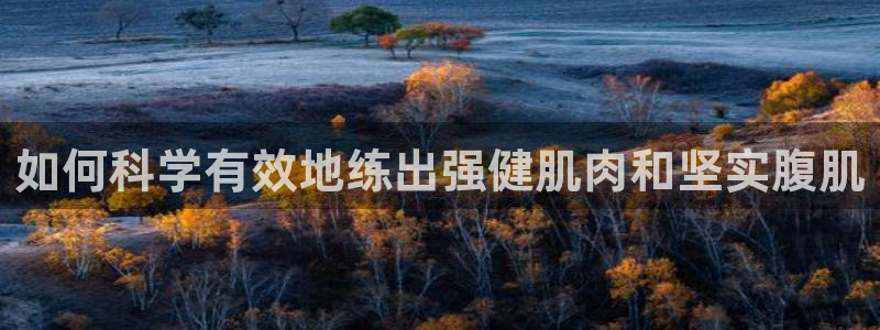 龙8国际是什么平台