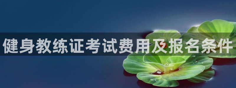 龙8国际总代理