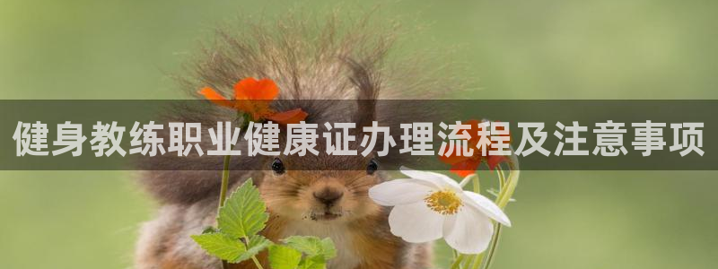龙八国际娱乐平台网站