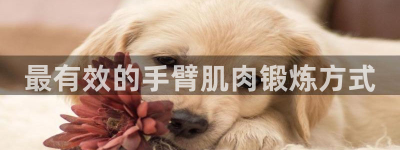 国际龙8官网pt客户端