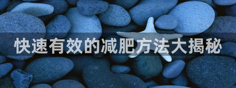 龙八国际下载链接