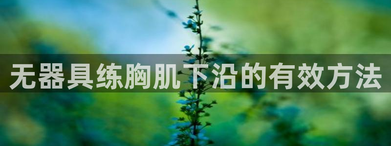 龙8国际官方网