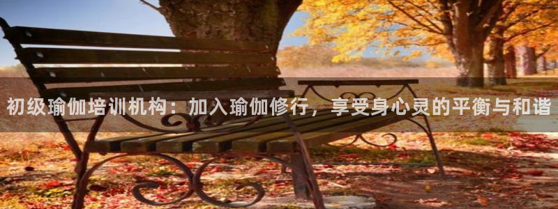 龙8国际com