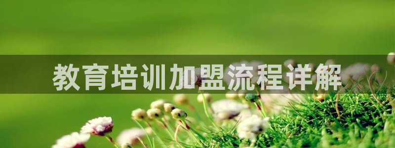龙8国际ing