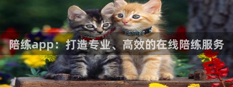 龙8国际开户