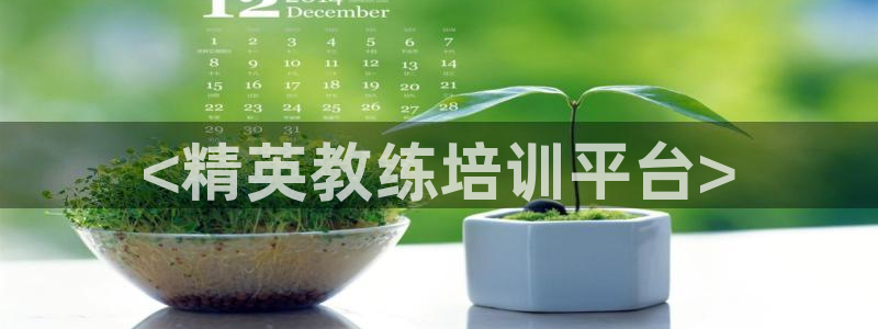 龙8国际登入