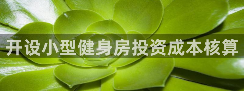 龙八国际官网下载