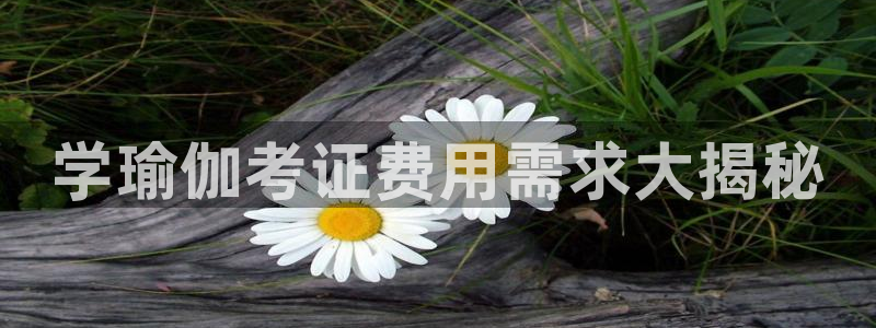 龙8国际ing