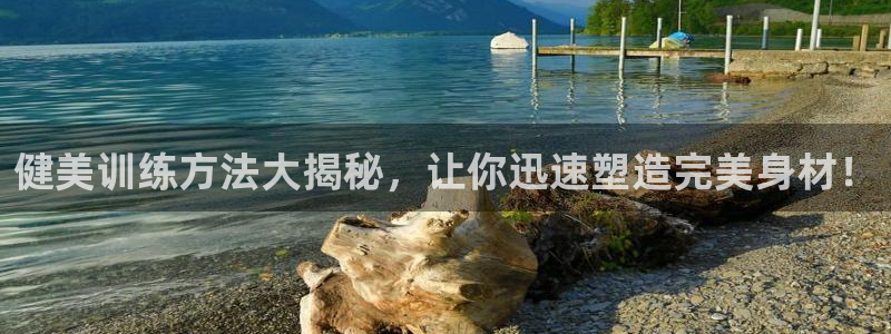 龙8国际城