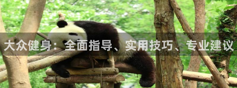 龙8国际游戏公司官网