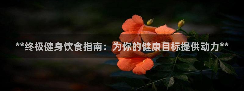 龙8国际是什么平台