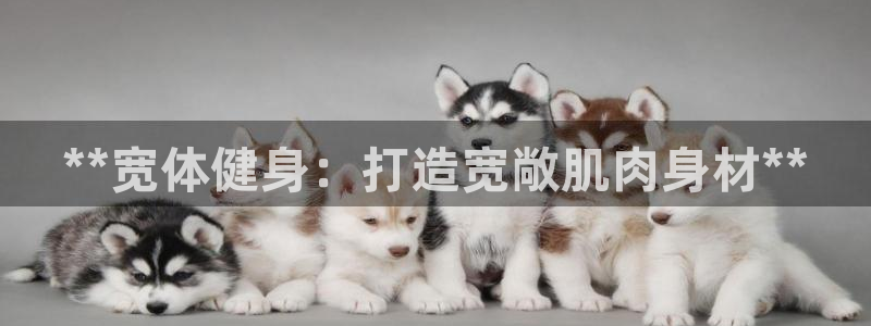 龙8国际官方网址
