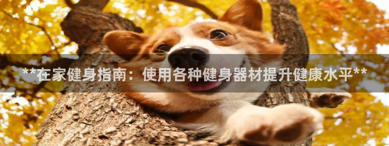 国际龙8下载