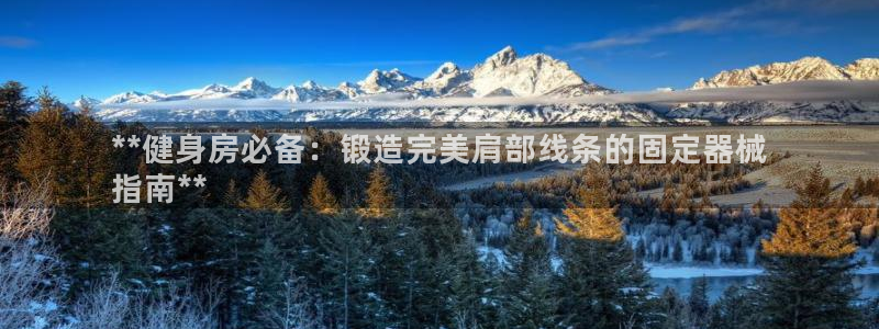 龙8国际app客户端下载不了