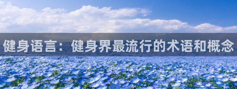 龙8国际玩家