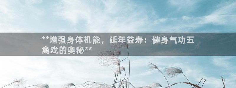国际龙8官网pt客户端