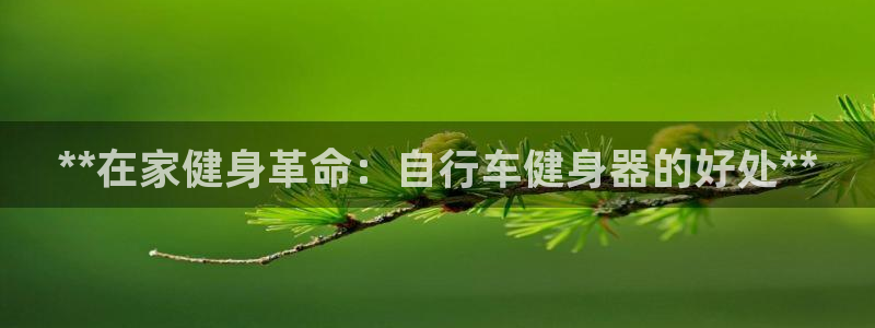 龙8国际服