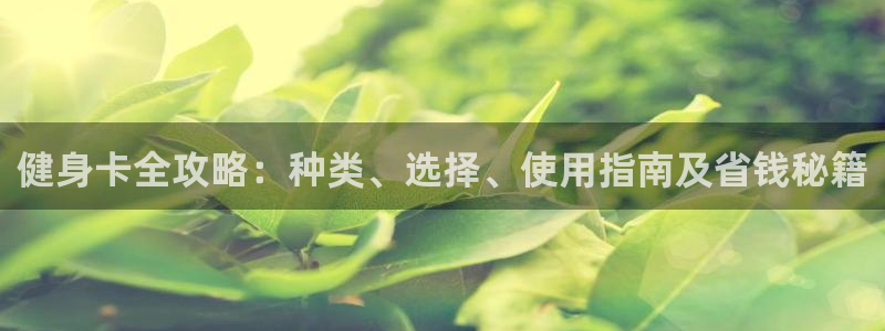 国际龙8官网pt客户端