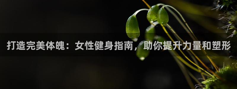 龙8国际最新官网