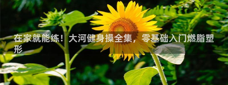 龙8国际官网点此进入游戏