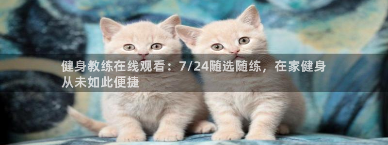 龙八国际首页