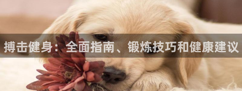 龙8国际游戏官网