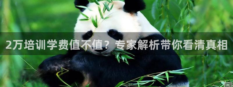 下载龙8国际