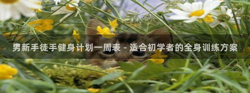 龙8国际平台官网