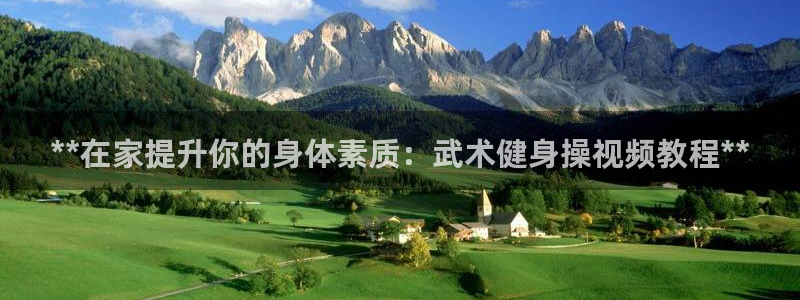 龙8国际游资如何