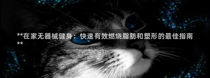 龙8国际网站是多少
