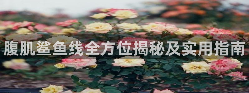 龙8国际唯一