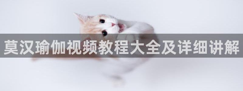 龙8国际是什么