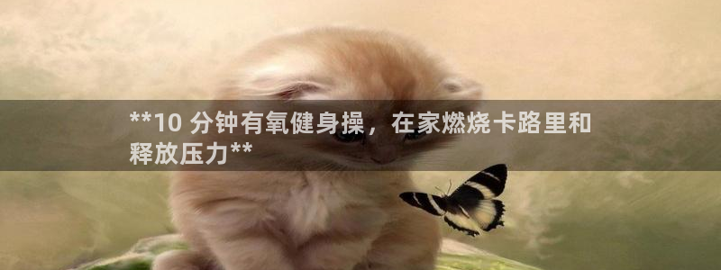 龙8国际头号玩家下载