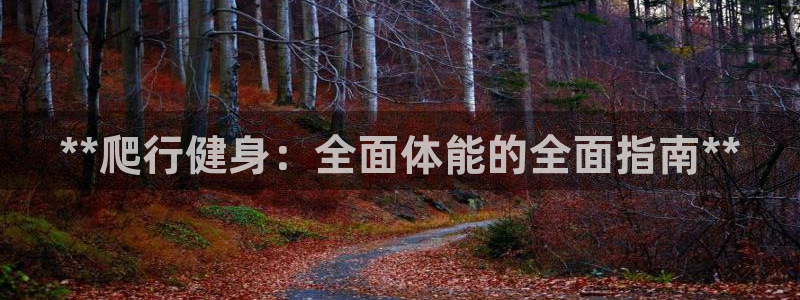 龙8国际官网版玩法