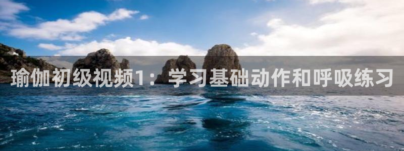 龙8国际怎么样