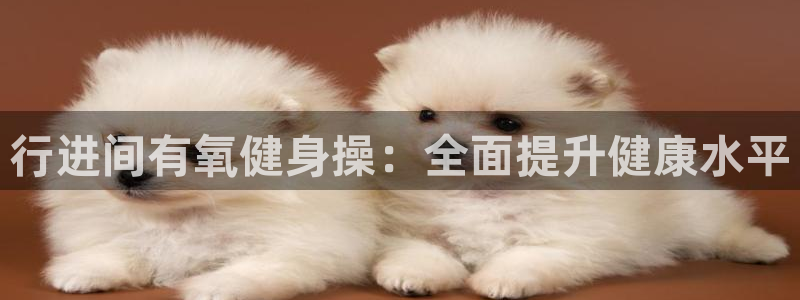 龙8游戏官方网站s