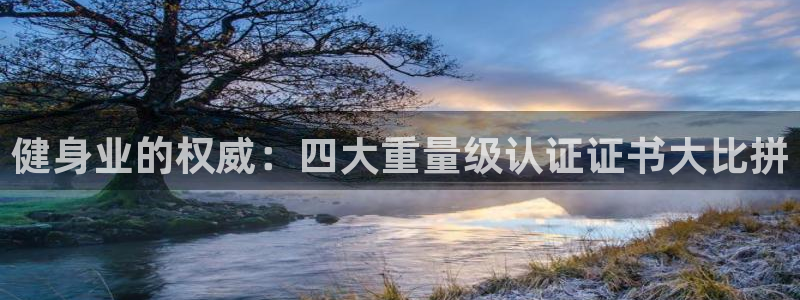 龙8国际app下载手机版