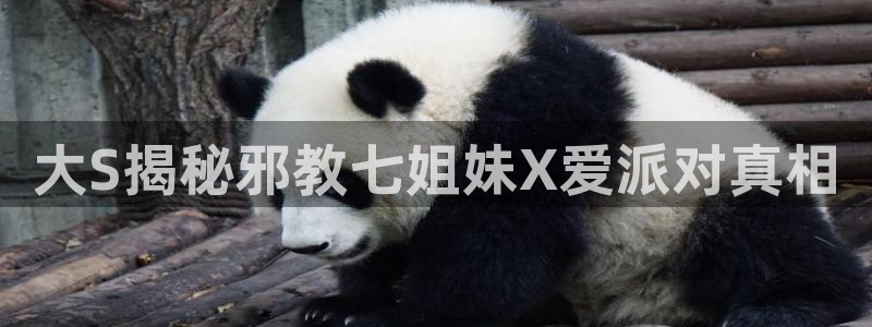 龙8国际龙8官方