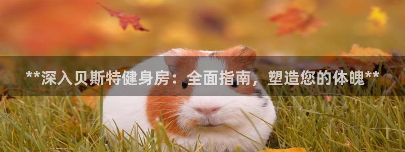 龙8电子游戏_首页