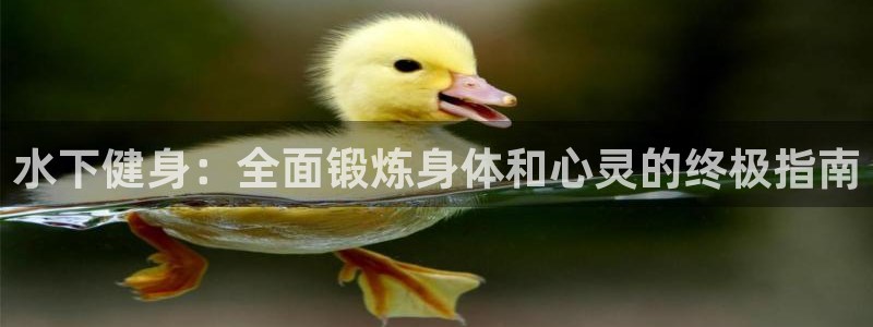 国际龙8官方网站