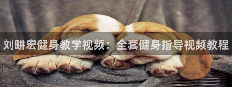 龙8国际玩家