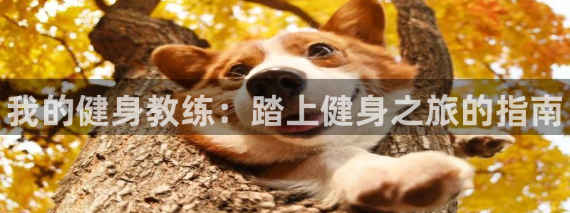 龙8国际游戏唯一官方进入